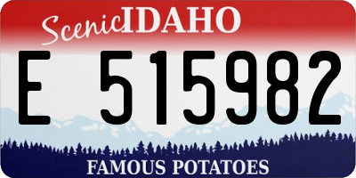 ID license plate E515982