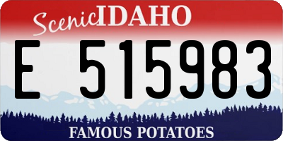 ID license plate E515983