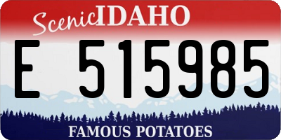ID license plate E515985