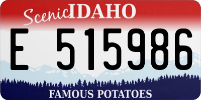 ID license plate E515986