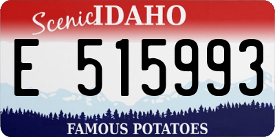 ID license plate E515993