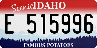 ID license plate E515996