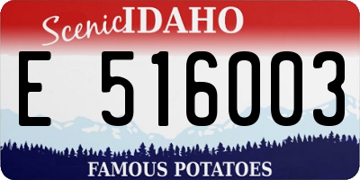 ID license plate E516003