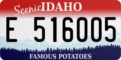 ID license plate E516005