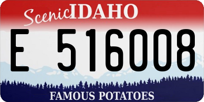 ID license plate E516008