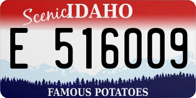 ID license plate E516009