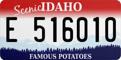 ID license plate E516010