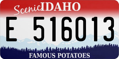 ID license plate E516013