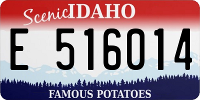 ID license plate E516014