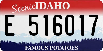 ID license plate E516017