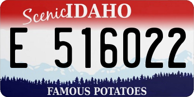 ID license plate E516022