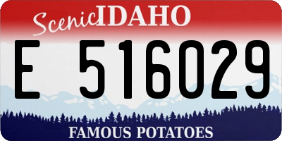 ID license plate E516029