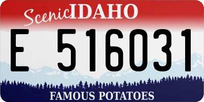 ID license plate E516031