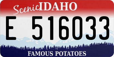 ID license plate E516033