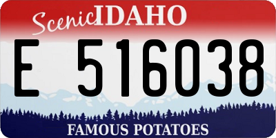 ID license plate E516038