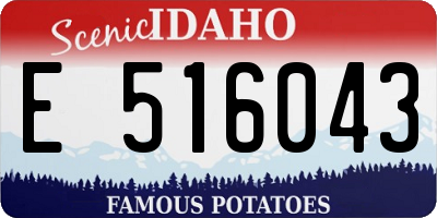 ID license plate E516043