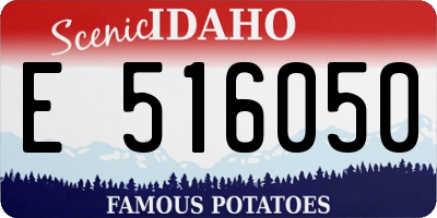 ID license plate E516050