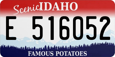 ID license plate E516052