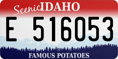 ID license plate E516053