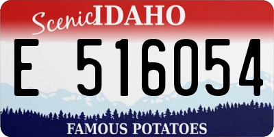 ID license plate E516054