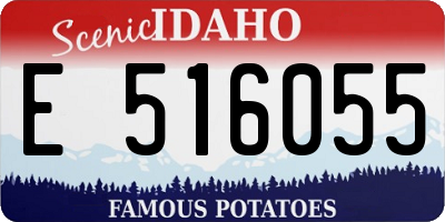 ID license plate E516055