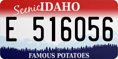 ID license plate E516056