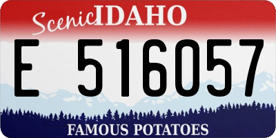 ID license plate E516057