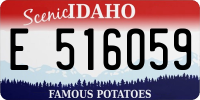 ID license plate E516059