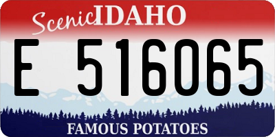 ID license plate E516065