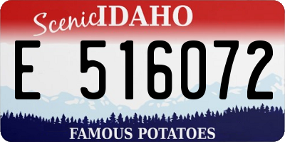 ID license plate E516072