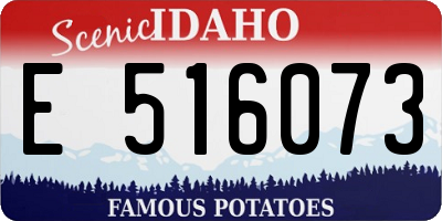 ID license plate E516073
