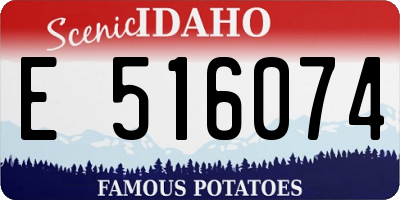ID license plate E516074