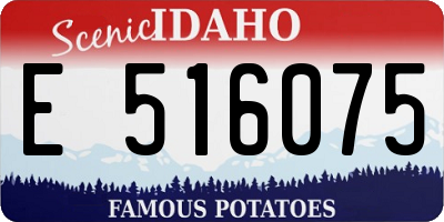 ID license plate E516075