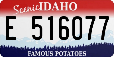 ID license plate E516077