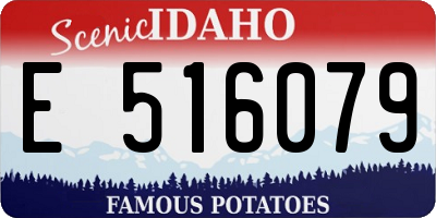 ID license plate E516079
