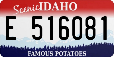 ID license plate E516081