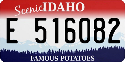 ID license plate E516082