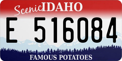 ID license plate E516084