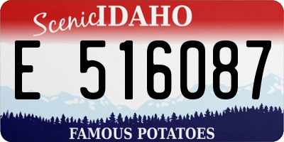 ID license plate E516087