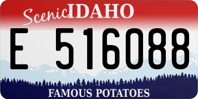 ID license plate E516088
