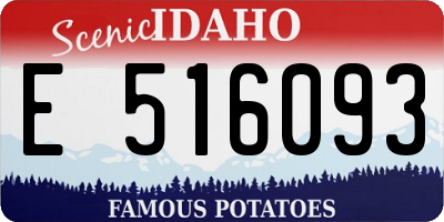 ID license plate E516093