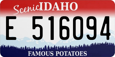 ID license plate E516094