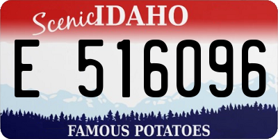 ID license plate E516096