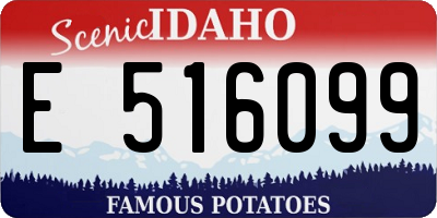 ID license plate E516099
