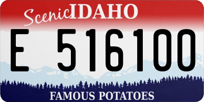 ID license plate E516100