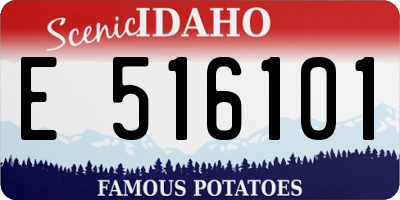 ID license plate E516101