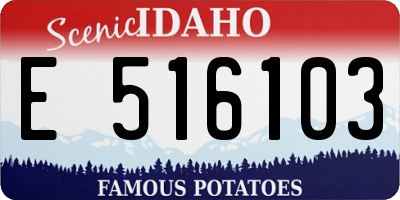 ID license plate E516103