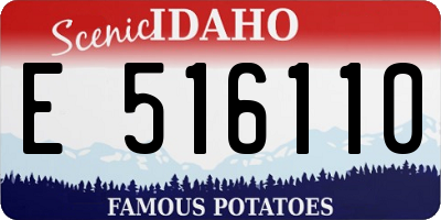 ID license plate E516110