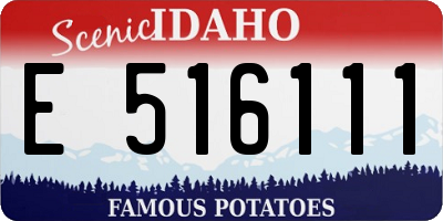 ID license plate E516111