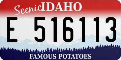 ID license plate E516113